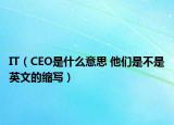 IT（CEO是什么意思 他们是不是英文的缩写）