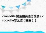 crocodile 鳄鱼用英语怎么读（crocodile怎么读（鳄鱼））