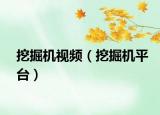 挖掘机视频（挖掘机平台）