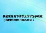 我的世界地下城怎么玩华为手机版（我的世界地下城怎么玩）