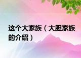 这个大家族（大胆家族的介绍）
