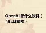 OpenAL是什么软件（可以卸载嚒）