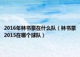 2016年林书豪在什么队（林书豪2015在哪个球队）