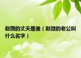 赵薇的丈夫是谁（赵微的老公叫什么名字）