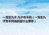 一龙生九子,九子各不同（一龙生九子各不同说的是什么意思）
