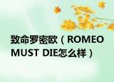 致命罗密欧（ROMEO MUST DIE怎么样）