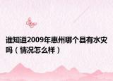 谁知道2009年惠州哪个县有水灾吗（情况怎么样）