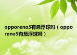opporeno5有悬浮球吗（opporeno5有悬浮球吗）
