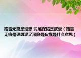 踏雪无痕是理想 泥足深陷是皮囊（踏雪无痕是理想泥足深陷是皮囊是什么意思）
