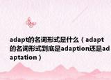 adapt的名词形式是什么（adapt的名词形式到底是adaption还是adaptation）