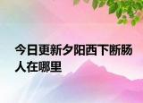 今日更新夕阳西下断肠人在哪里