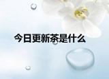今日更新茶是什么