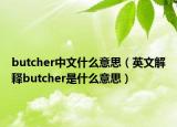 butcher中文什么意思（英文解释butcher是什么意思）