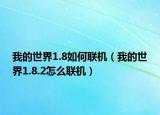 我的世界1.8如何联机（我的世界1.8.2怎么联机）