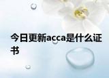 今日更新acca是什么证书