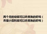 两个月的幼猫可以吃煮熟的虾吗（养宠小百科猫可以吃煮熟的虾吗）