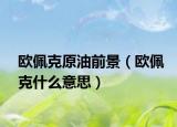 欧佩克原油前景（欧佩克什么意思）