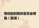 想你的时候你是否会想我（歌词）