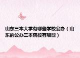 山东三本大学有哪些学校公办（山东的公办三本院校有哪些）