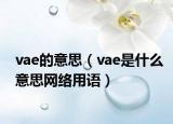 vae的意思（vae是什么意思网络用语）