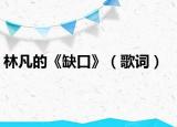 林凡的《缺口》（歌词）