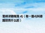 寰峰浗鎴樿溅 dj（有一首dj叫德国坦克什么的）