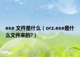 exe 文件是什么（orz.exe是什么文件来的?）