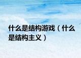 什么是结构游戏（什么是结构主义）