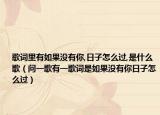 歌词里有如果没有你,日子怎么过,是什么歌（问一歌有一歌词是如果没有你日子怎么过）