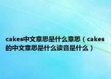 cakes中文意思是什么意思（cakes的中文意思是什么读音是什么）