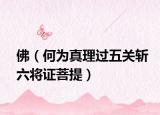 佛（何为真理过五关斩六将证菩提）
