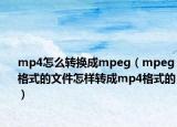 mp4怎么转换成mpeg（mpeg格式的文件怎样转成mp4格式的）