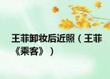 王菲卸妆后近照（王菲《乘客》）