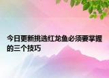 今日更新挑选红龙鱼必须要掌握的三个技巧