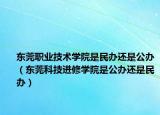 东莞职业技术学院是民办还是公办（东莞科技进修学院是公办还是民办）