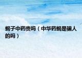 蝎子中药贵吗（中华药蝎是骗人的吗）