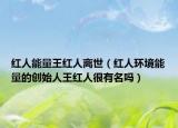 红人能量王红人离世（红人环境能量的创始人王红人很有名吗）