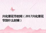 兴化菜花节时间（2017兴化菜花节到什么时候）