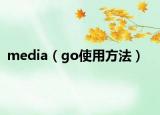 media（go使用方法）