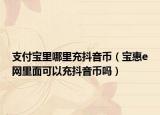 支付宝里哪里充抖音币（宝惠e网里面可以充抖音币吗）