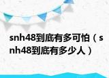 snh48到底有多可怕（snh48到底有多少人）