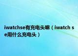 iwatchse有充电头嘛（iwatch se用什么充电头）