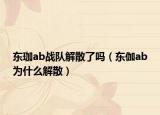 东珈ab战队解散了吗（东伽ab为什么解散）
