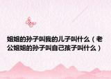 姐姐的孙子叫我的儿子叫什么（老公姐姐的孙子叫自己孩子叫什么）
