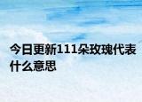 今日更新111朵玫瑰代表什么意思