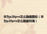 华为p20pro怎么隐藏图标（华为p20pro怎么隐藏刘海）