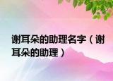谢耳朵的助理名字（谢耳朵的助理）