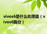 vivos6是什么处理器（vivos6跑分）
