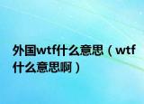 外国wtf什么意思（wtf什么意思啊）