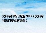 文科专科热门专业2017（文科专科热门专业有哪些）